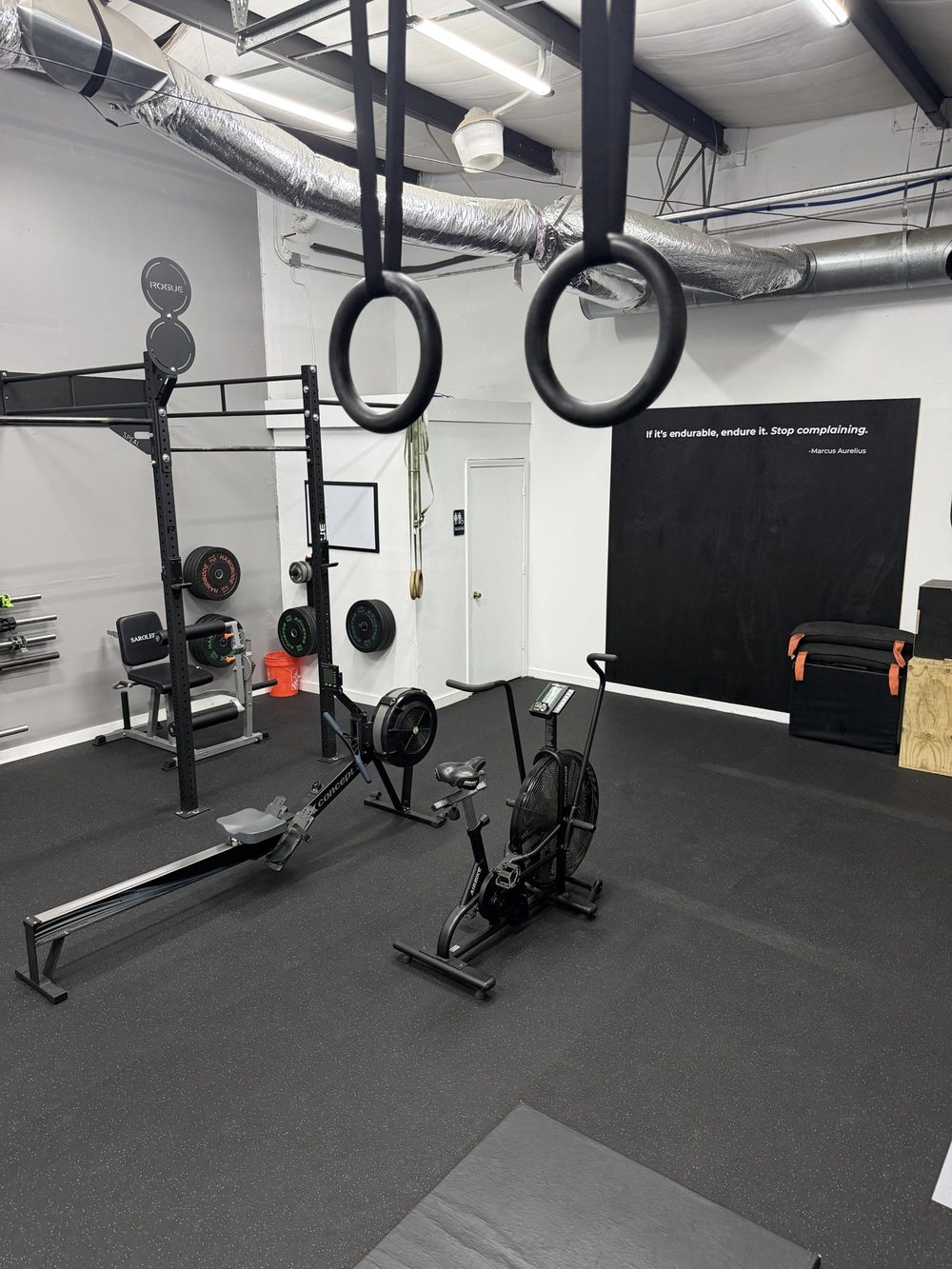 Gymnastics rings for drop-in athletes
